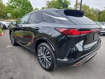 2024 Lexus RX 350h Premium Plus
